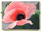 Eve Christie - Pink Poppy